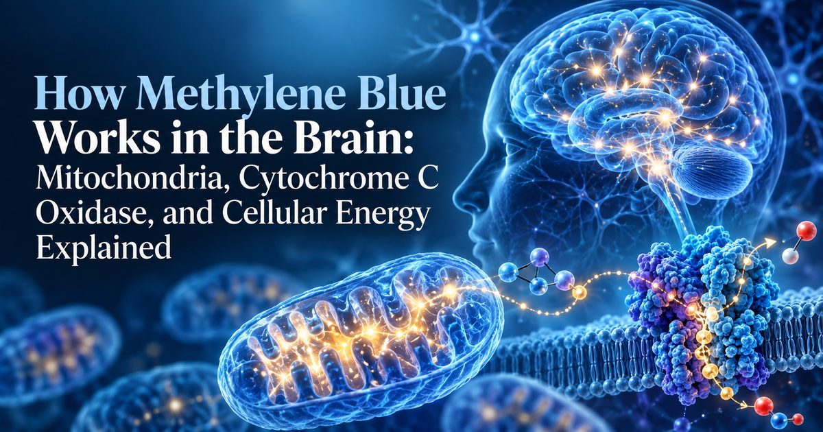 How Methylene Blue Works in the Brain: Mitochondria, Cytochrome C Oxidase, and Cellular Energy Explained